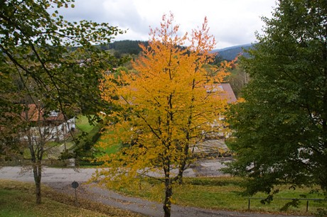 Bayerisch Eisenstein